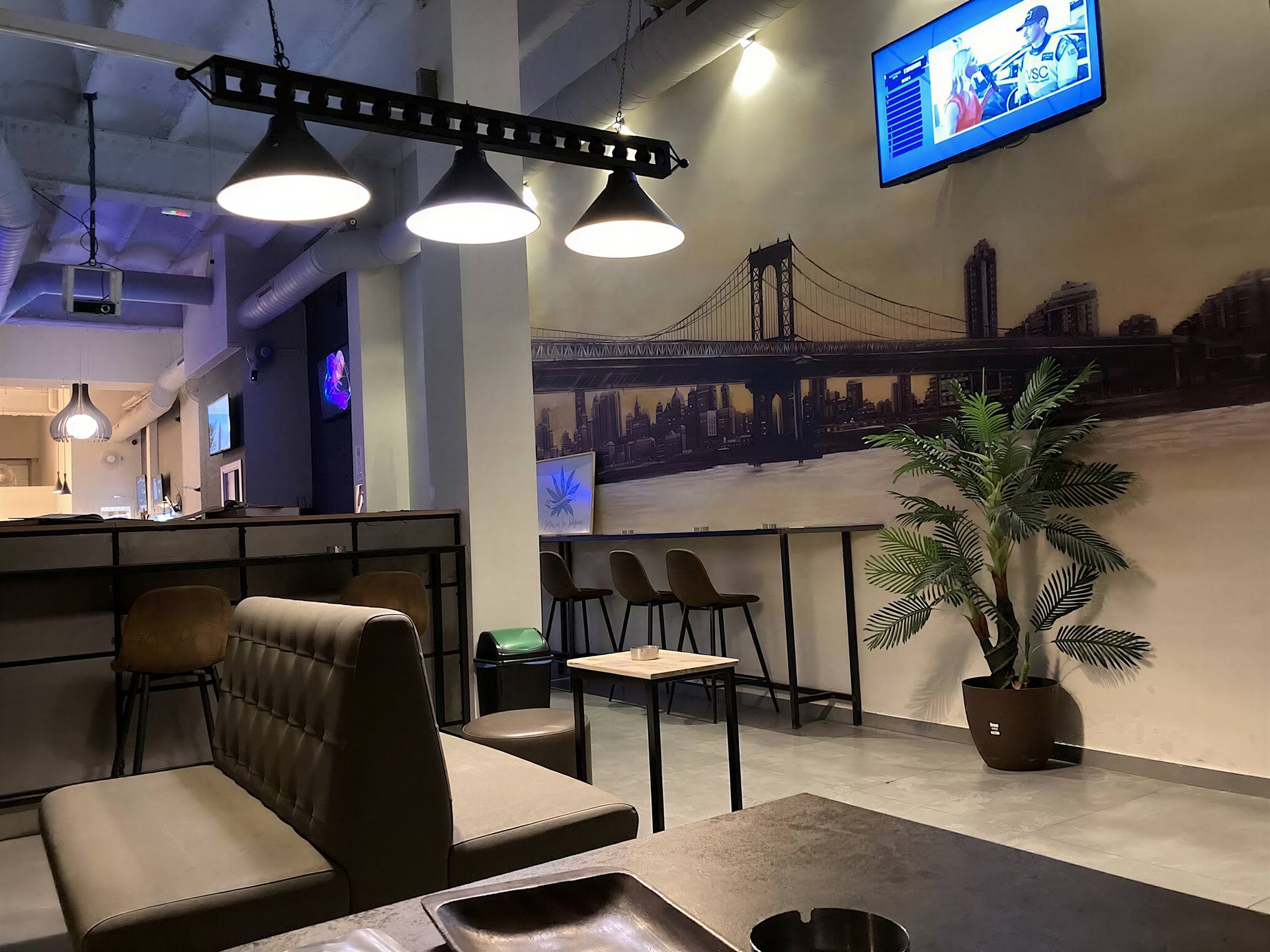 Sensi Social Club