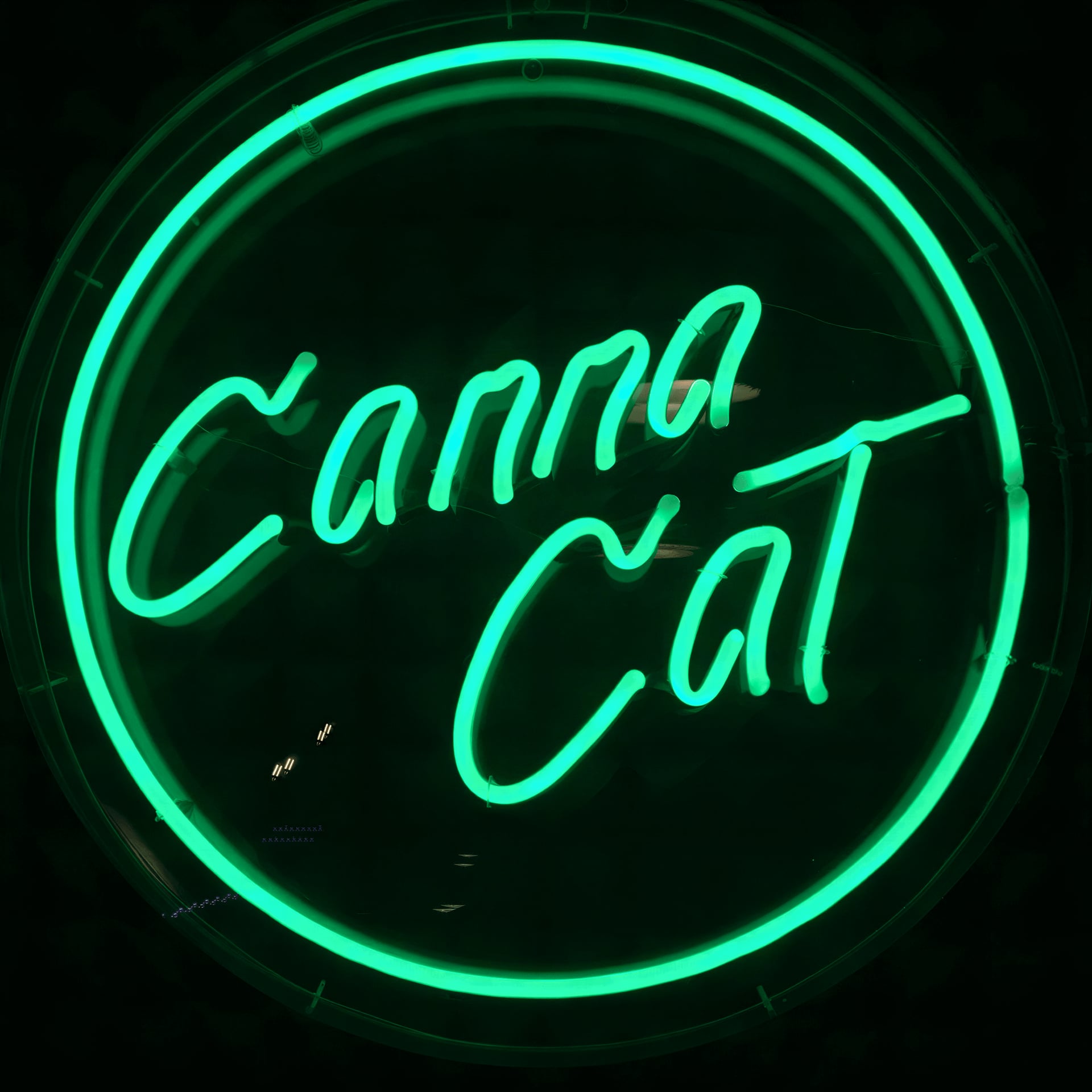 CannaCat logo