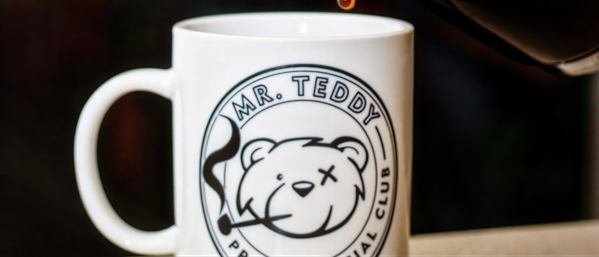 Mr. Teddy hero