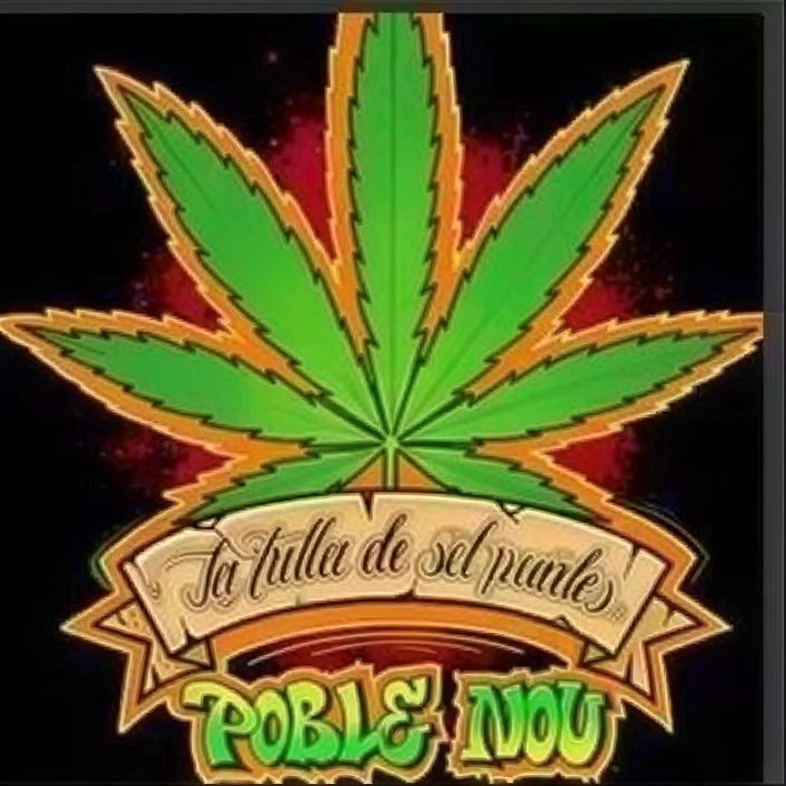 Full De Set Puntes logo