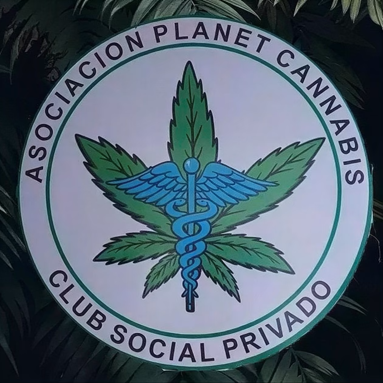 Cannabis Social Club Asociación Planet Cannabis logo