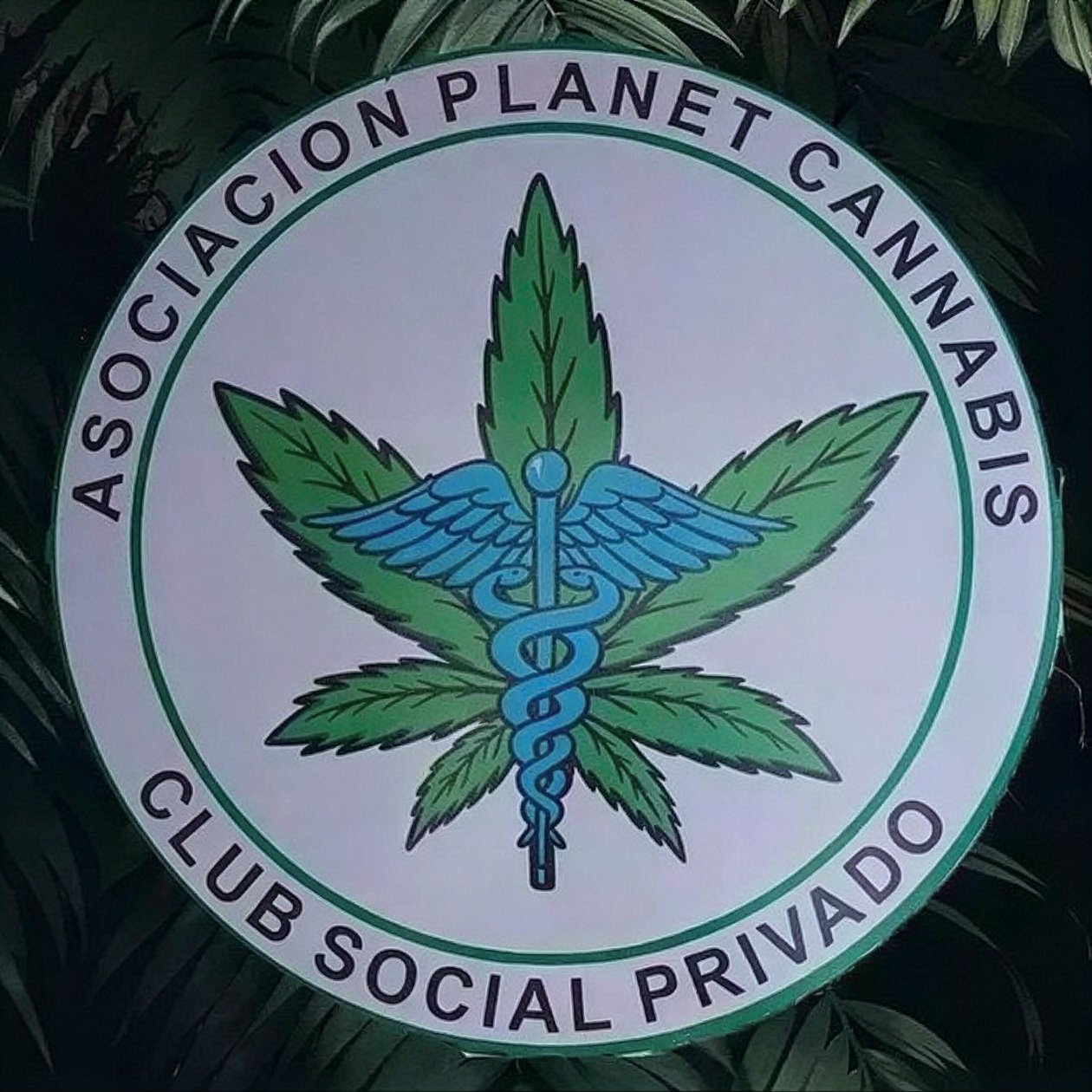 Asociación Planet Cannabis logo
