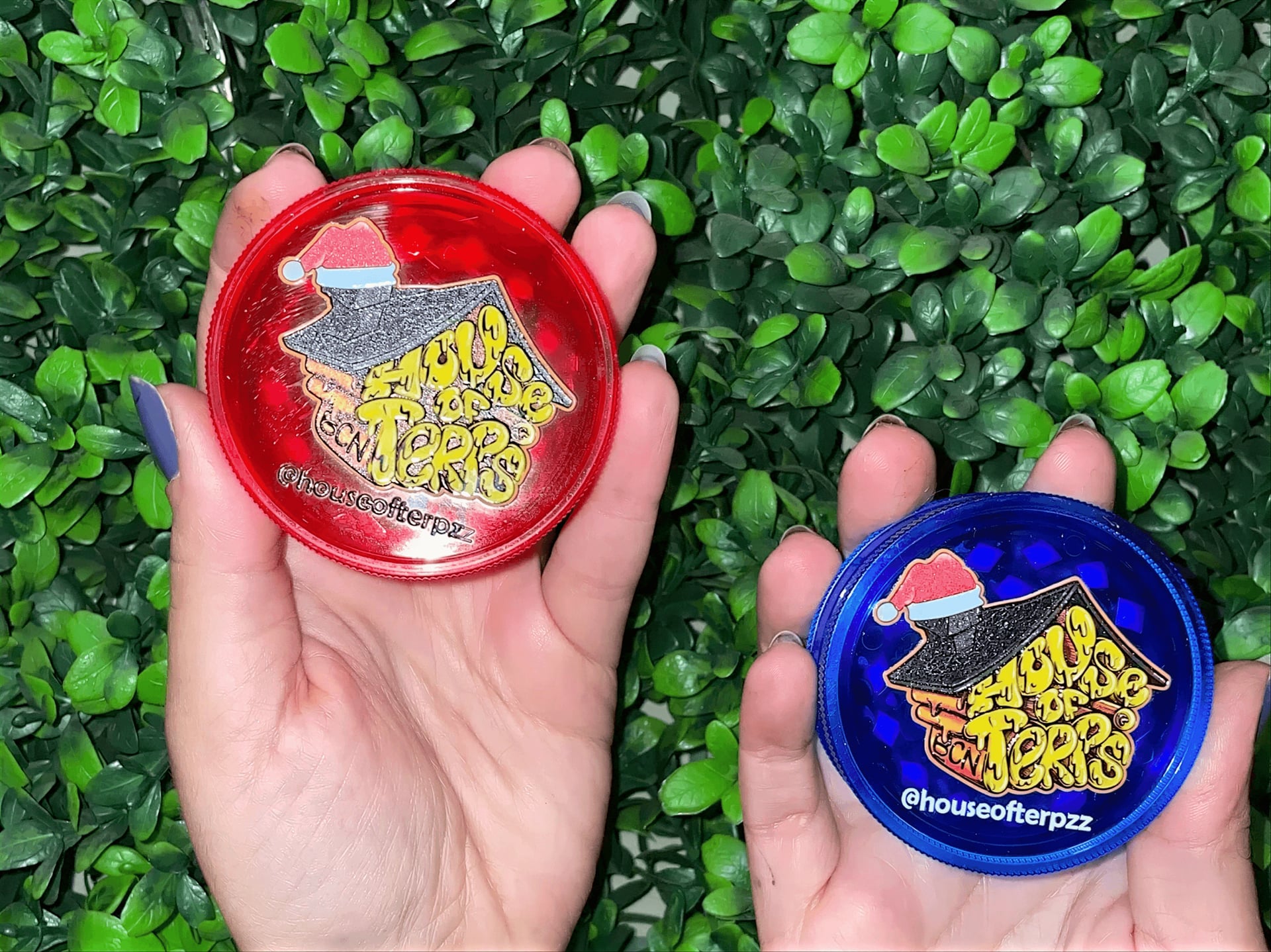 House Of Terps