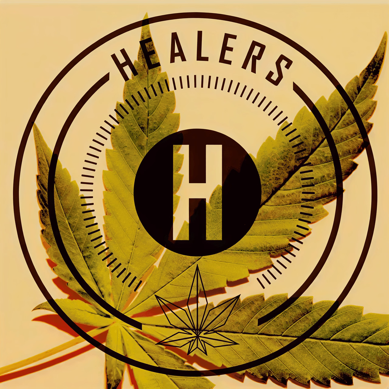 Cannabis Social Club Healers Barcelona logo