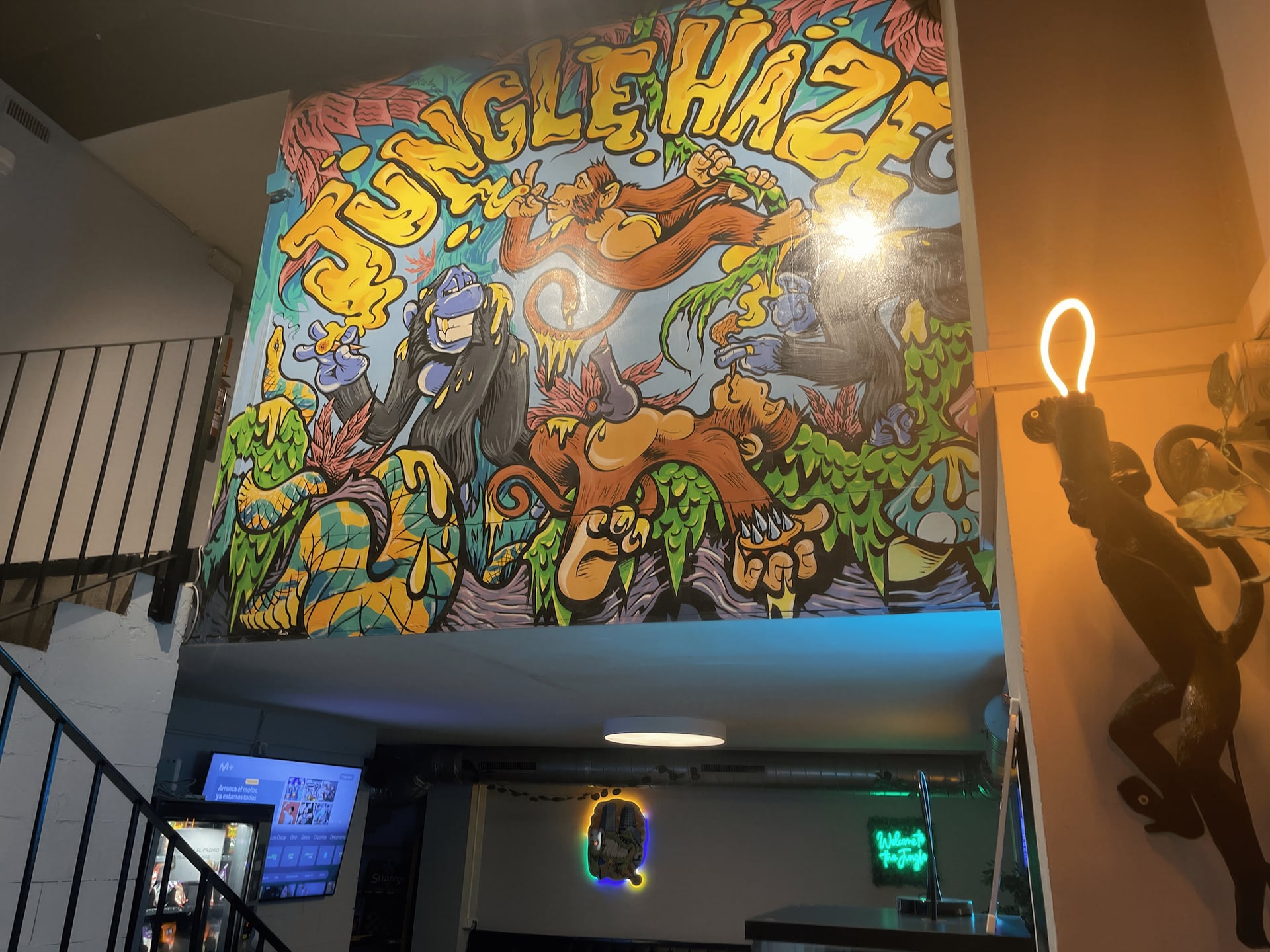 Jungle 13