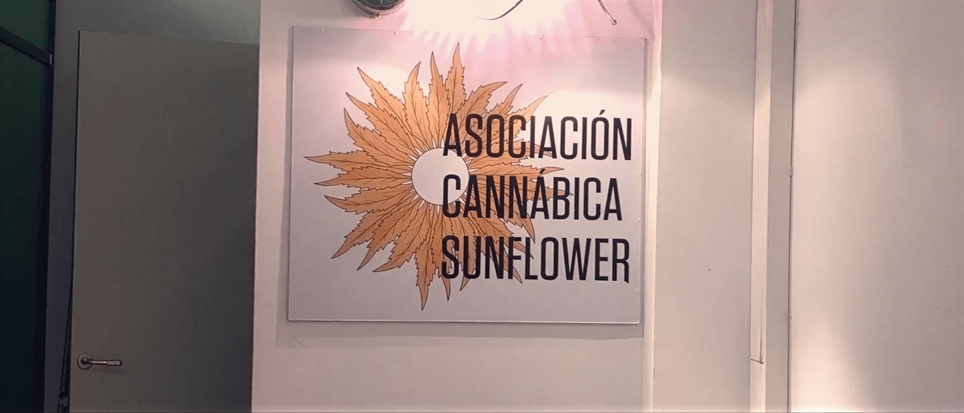 Sunflower hero